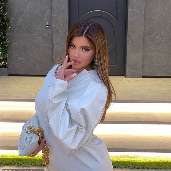 Handbags - Chainlink Pouch